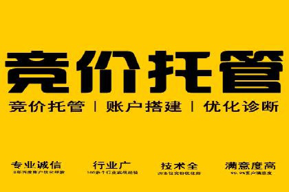 SEM推广案例：揭秘高ROI背后的策略与实践